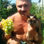 Аватара пользователя