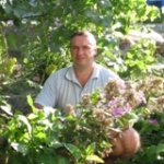 Аватара пользователя